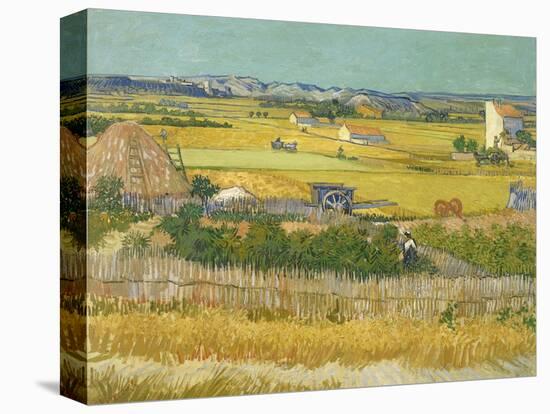 The Harvest-Vincent van Gogh-Premier Image Canvas