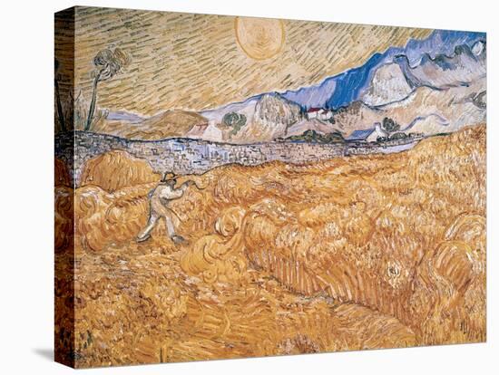 The Harvester-Vincent van Gogh-Premier Image Canvas