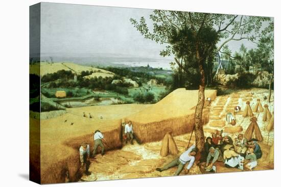 The Harvesters, 1565-Pieter Bruegel the Elder-Premier Image Canvas