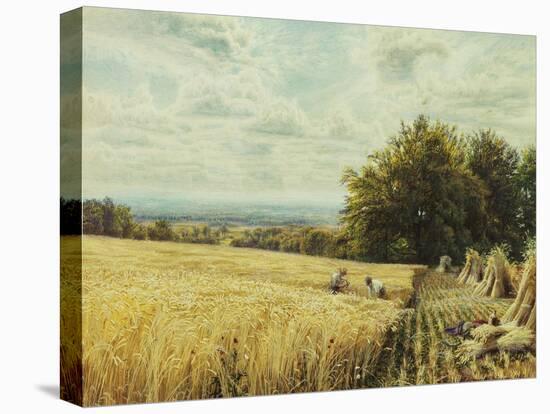The Harvesters, 1865-Edmund George Warren-Premier Image Canvas