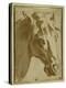 The Head and Neck of a Horse-Parmigianino-Premier Image Canvas