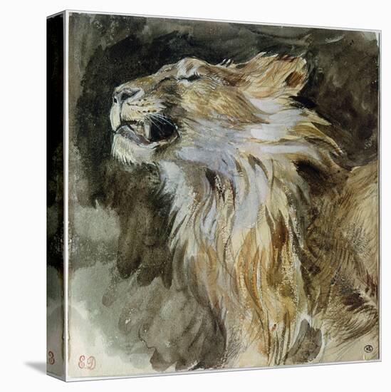 The Head of a Lion (Watercolour on Paper)-Ferdinand Victor Eugene Delacroix-Premier Image Canvas