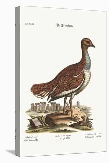 The Hen Bustard, 1749-73-George Edwards-Premier Image Canvas