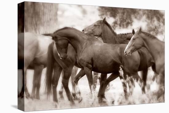 The Herd-Lisa Dearing-Premier Image Canvas
