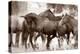 The Herd-Lisa Dearing-Premier Image Canvas
