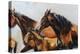 The Herd-Renee Gould-Premier Image Canvas