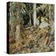 The Hermit (Il solitario), 1908-John Singer Sargent-Premier Image Canvas