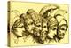 The Heroes of the Trojan War: Paris, Diomedes, Odysseus, Nestor, Achilles, Agamemnon-English-Premier Image Canvas