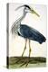 The Heron Plate from "The British Zoology Class II: Birds"-Peter Paillou-Premier Image Canvas