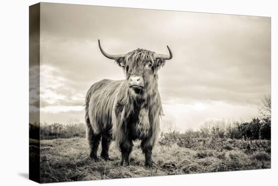 The Highlands-Mark Gemmell-Premier Image Canvas