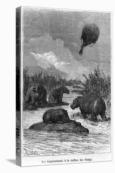 The Hippopotamus, Illustration from "Five Weeks in a Balloon" by Jules Verne Paris, Hetzel-Édouard Riou-Premier Image Canvas