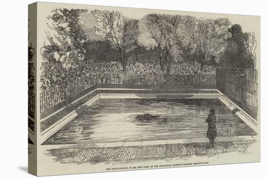 The Hippopotamus in His New Bath in the Zoological Society's Gardens, Regent's Park-null-Premier Image Canvas