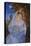 The Holy Family-Hal Frenck-Premier Image Canvas