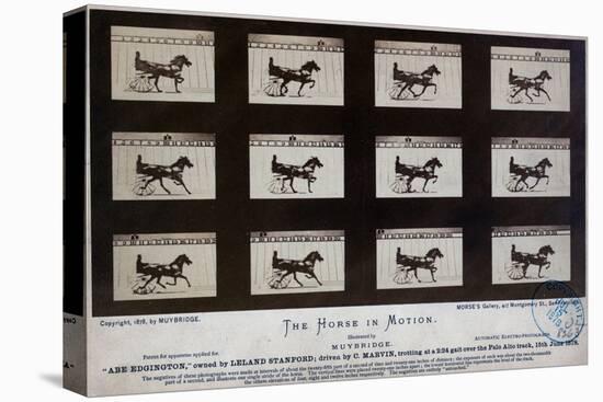 The Horse in Motion-Eadweard Muybridge-Premier Image Canvas