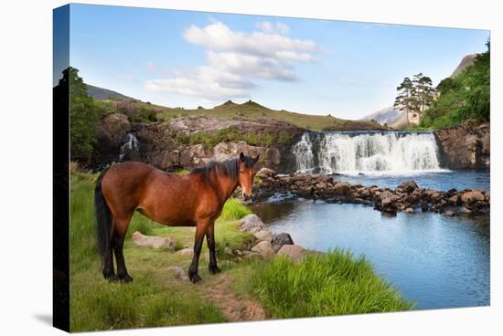 The Horse Near the Waterfall-Philippe Sainte-Laudy-Premier Image Canvas