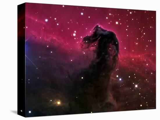 The Horsehead Nebula-Stocktrek Images-Premier Image Canvas