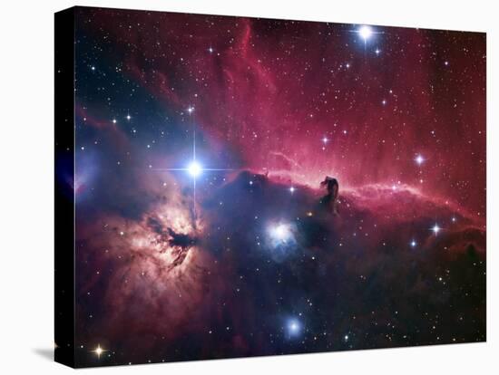 The Horsehead Nebula-Stocktrek Images-Premier Image Canvas