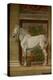 The Horses Hall, 1525-1535.-Giulio Romano-Premier Image Canvas