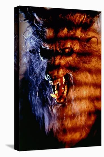 THE HOWLING, 1981 directed by JOE DANTE (photo)-null-Stretched Canvas