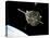 The Hubble Space Telescope in Orbit Above Earth-null-Premier Image Canvas