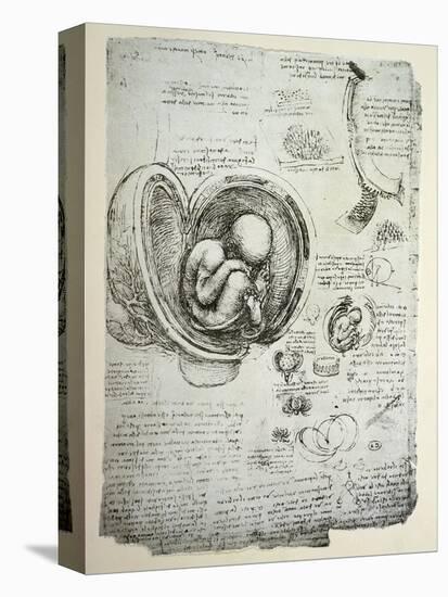 The Human Foetus in the Womb, Facsimile Copy-Leonardo da Vinci-Premier Image Canvas