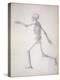 The Human Skeleton-George Stubbs-Premier Image Canvas