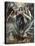 The Immaculate Conception, Ca. 1608-1614-El Greco-Premier Image Canvas