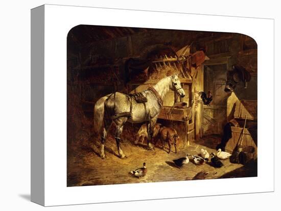 The Interior of a Stable with a Dapple Grey Horse, Ducks, Goats, and a Cockerel by a Manger-John Frederick Herring I-Premier Image Canvas