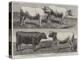 The International Cattle Show at Poissy-Harrison William Weir-Premier Image Canvas