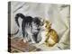 The Introduction: Silver and Ginger Kittens-Julius Adam-Premier Image Canvas