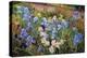 The Iris Bed, 1993-Timothy Easton-Premier Image Canvas