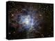The Iris Nebula-Stocktrek Images-Premier Image Canvas