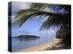 The Island of Ko Tae Nai from Ao Bang Charu Beach on Ko Pha-Nga Island, Surat Thani, Thailand-Richard Nebesky-Premier Image Canvas