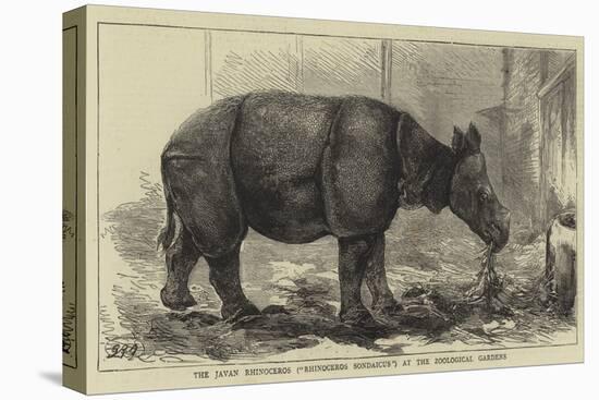 The Javan Rhinoceros (Rhinoceros Sondaicus) at the Zoological Gardens-null-Premier Image Canvas