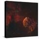 The Jellyfish Nebula-Stocktrek Images-Premier Image Canvas