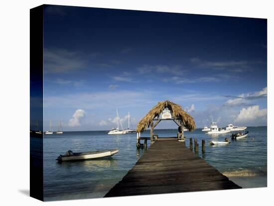 The Jetty, Pigeon Point, Tobago, West Indies, Caribbean, Central America-Julia Bayne-Premier Image Canvas