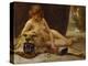 The Jewellery Box; Le Coffret-Guillaume Seignac-Premier Image Canvas