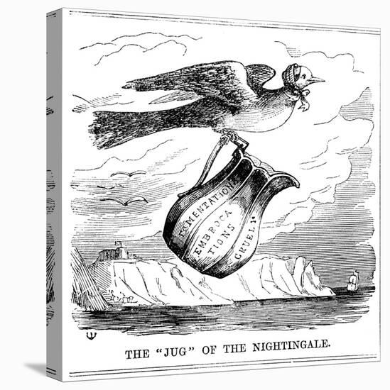 The Jug of the Nightingale, 1854-null-Premier Image Canvas