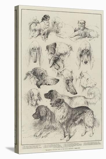 The Kennel Club Dog Show at the Royal Aquarium, Prize Dogs-Harrison William Weir-Premier Image Canvas