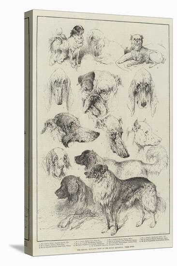 The Kennel Club Dog Show at the Royal Aquarium, Prize Dogs-Harrison William Weir-Premier Image Canvas