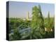 The Koutoubia Minaret on the Skyline of Marrakech (Marrakesh), Morocco, North Africa, Africa-Lee Frost-Premier Image Canvas