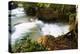 The Kuang Si Waterfalls Just Outside of Luang Prabang, Laos-Micah Wright-Premier Image Canvas