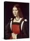 The Lady in Red-Giovanni Antonio Boltraffio-Premier Image Canvas