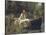 The Lady of Shalott-John William Waterhouse-Premier Image Canvas