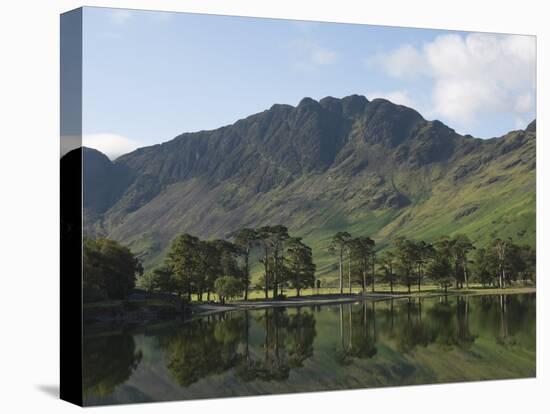 The Lake Buttermere Pines with Haystacks, Lake District National Park, Cumbria, England, UK, Europe-James Emmerson-Premier Image Canvas