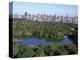 The Lake in Central Park-Rudy Sulgan-Premier Image Canvas