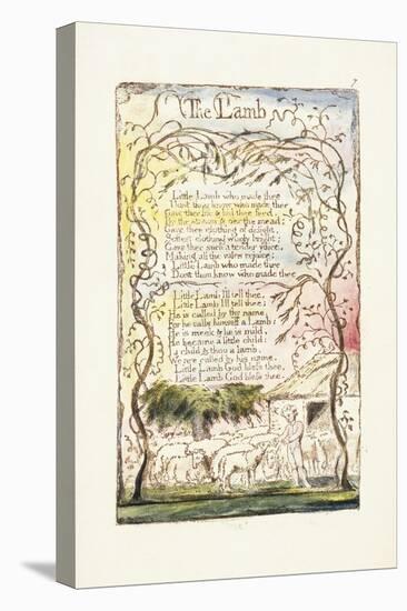 The Lamb, 1789-William Blake-Premier Image Canvas
