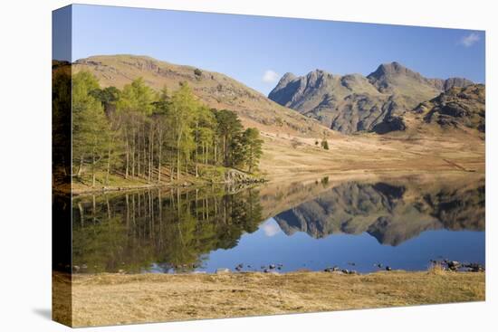 The Langdale Pikes Reflected in Blea Tarn, Above Little Langdale, Lake District National Park-Ruth Tomlinson-Premier Image Canvas