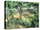 The Large Pine, 1895-97-Paul Cézanne-Premier Image Canvas
