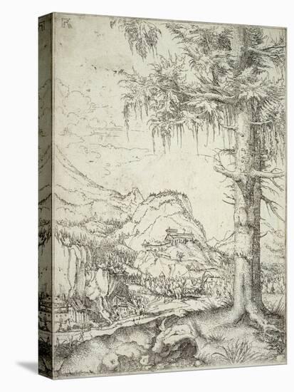 The Large Spruce, C.1520-Albrecht Altdorfer-Premier Image Canvas